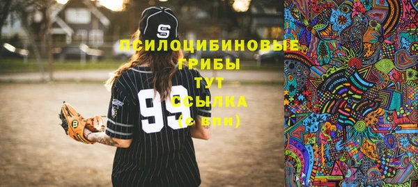 меф Белокуриха
