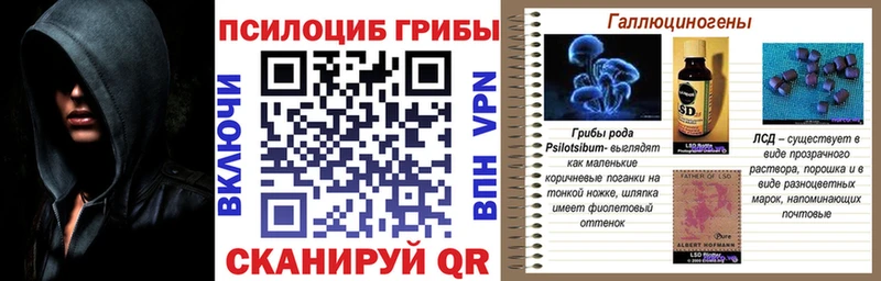 Псилоцибиновые грибы MAGIC MUSHROOMS  ОМГ ОМГ   Кушва 